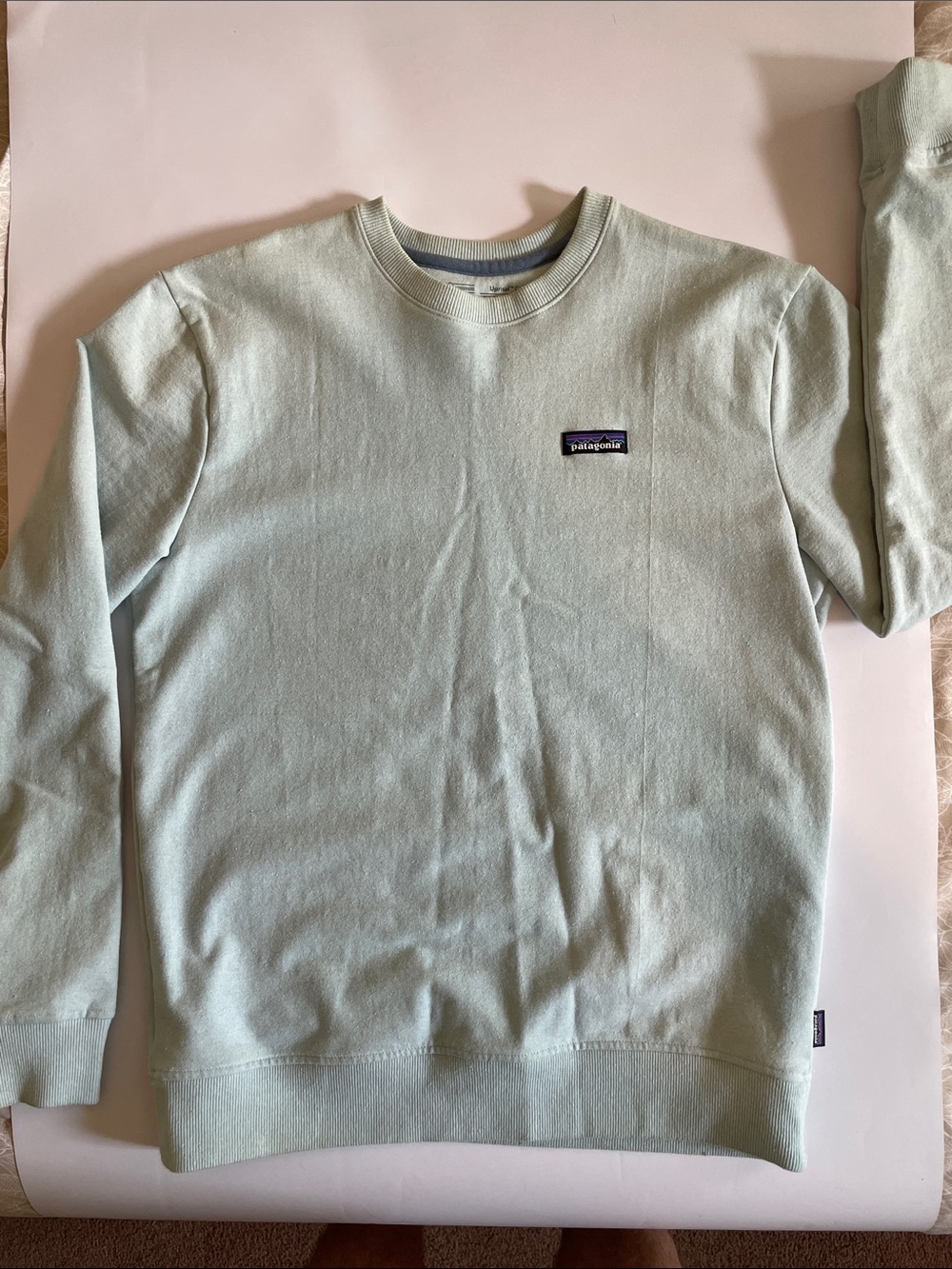 Patagonia Men's Crewneck Sweatshirt in Mint Green/Blue